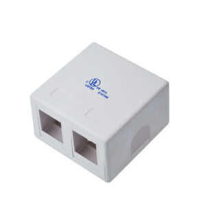 Roseta adosable  de 02 puertos DIXON