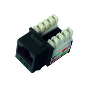 Jack RJ-45 Cat 6 DIXON